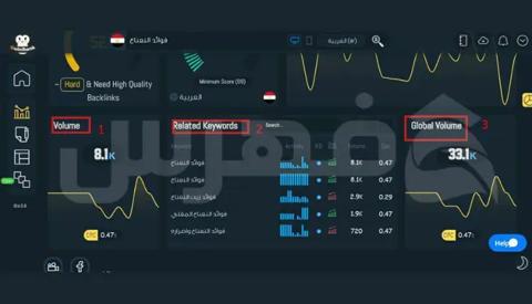 قسم Search Volume