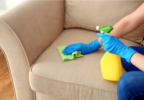 Sofa cleaning