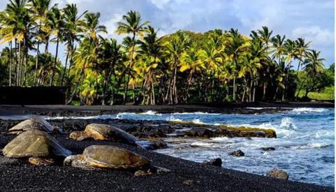 Punalu u black beach