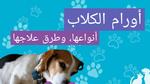 أورام الكلاب – Canine Tumors؛ أهم 8 أنواع من الورم وطرق العلاج