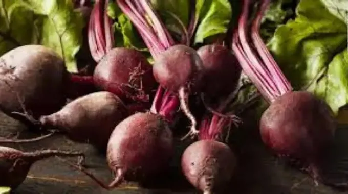 عشبة الشمندر (Beet Herb)؛ الاستخدامات والفوائد