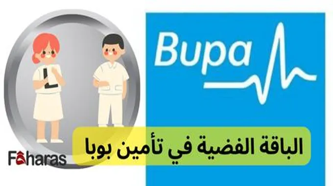 ترتيب فئات تأمين بوبا ؛ تعرف على أهم أقسامه