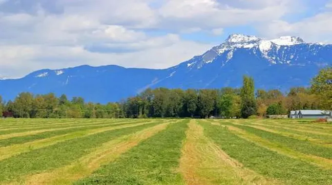 السياحة في أبوتسفورد: أجمل 10 أنشطة سياحية