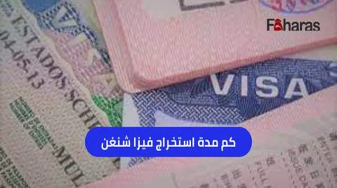 كم مدة استخراج فيزا شنغن؟ أبرز 9 أنواع من