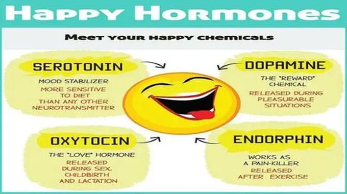 هرمونات السعادة؛ أنواعها وأهم 12 طريقة لتعزيز