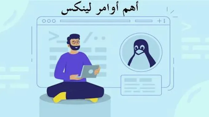 أوامر Linux: تعرف إلى قائمة أهم 30 أمر في نظام