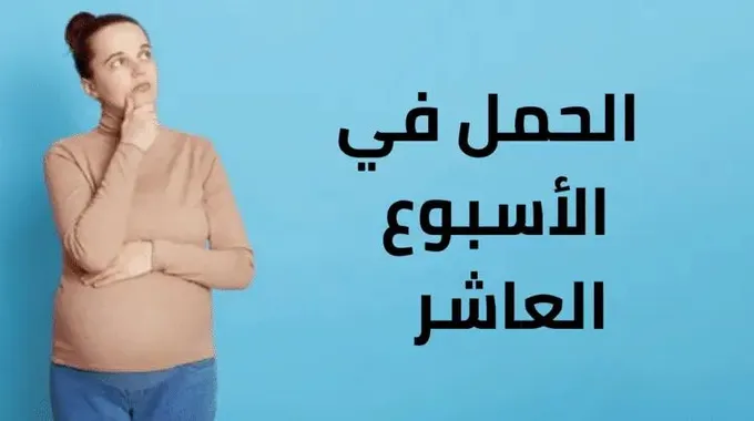 الحمل في الأسبوع العاشر