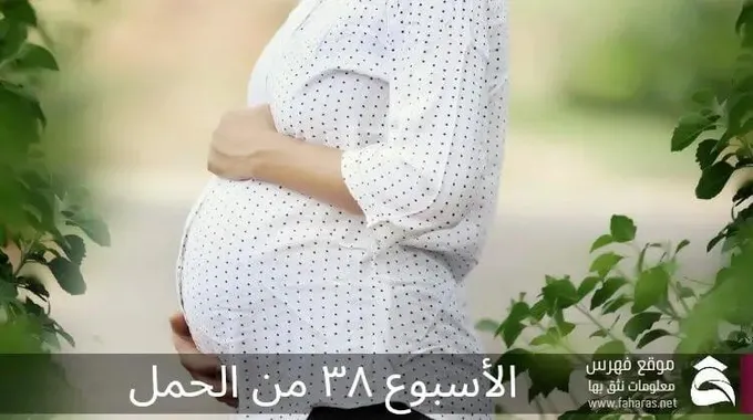 الأسبوع ٣٨ من الحمل؛تعرف إلى أعراض الولادة وكيف يمكن تحفيزها