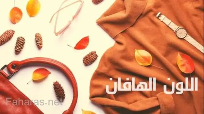 تنسيق اللون الهافان ودرجاته ؛ إليك أهم 8 ألوان