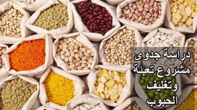 دراسة جدوى مشروع تعبئة وتغليف الحبوب؛ تعرف على