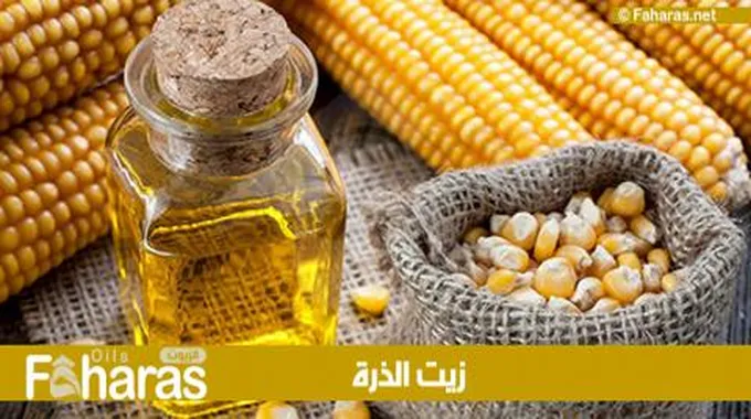 زيت الذرة؛ تعرف إلى أهم فوائده الصحية و7 أثار