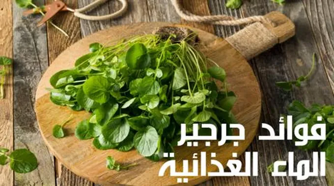 فوائد جرجير الماء الغذائية؛ تعرف على الفوائد