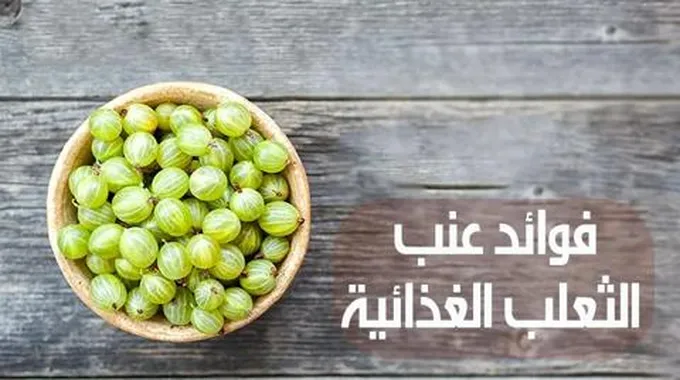 فوائد عنب الثعلب الغذائية؛ تعرف معنا على منافعه